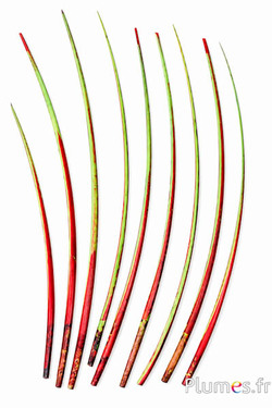 Schwan Kiel - 25-30 cm - amarant-limette